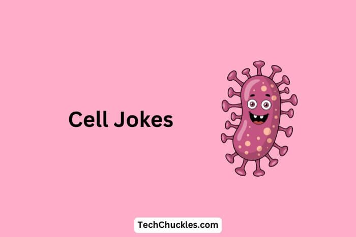 Cell Jokes That Will Divide You With Laughter